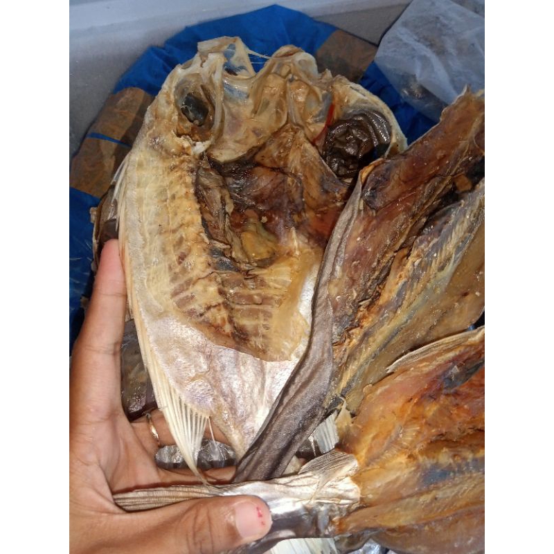 

ikan asin karang