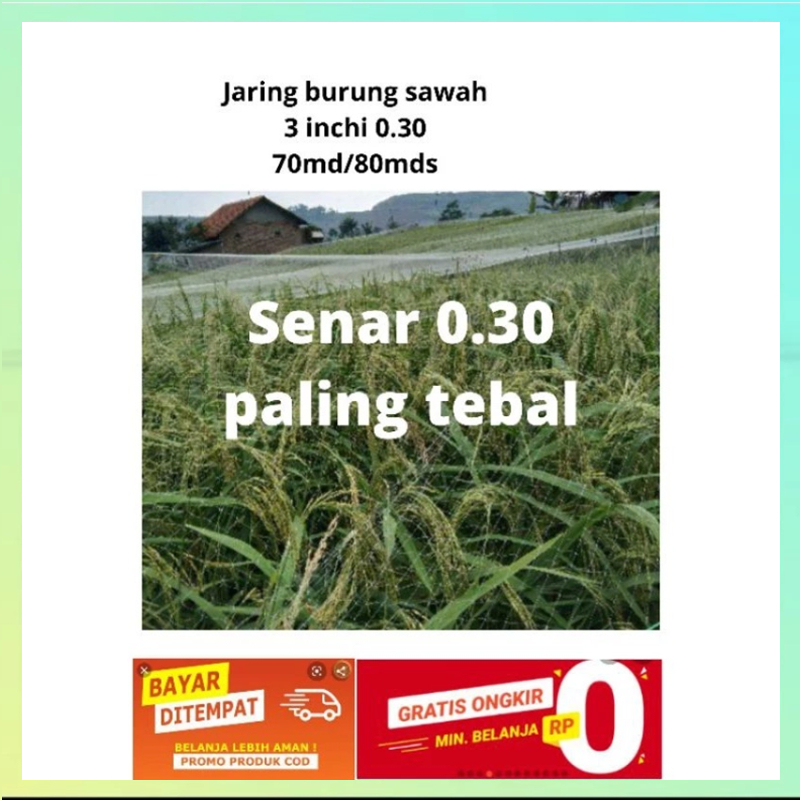 Jaring burung sawah senar paling tebal 0.30 70x80 YOKO Lebih awet jaring padi jaring burung jebakan 