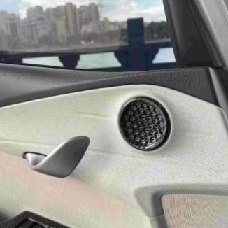 BYD dolphin/Speaker Cover  BYD Dolphin