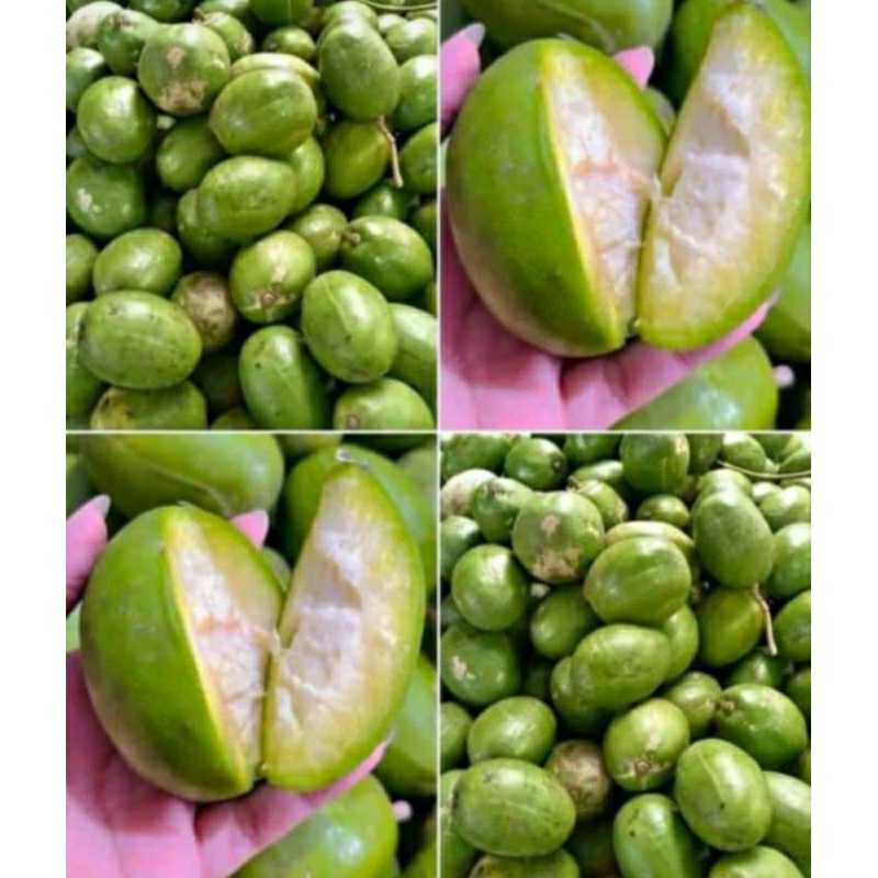 

kendondong 1kg rujakan