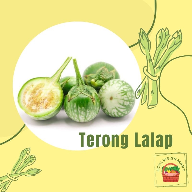 

TERONG LALAP/TERONG BULAT 250g (FRESH) - INSTANT SEMARANG