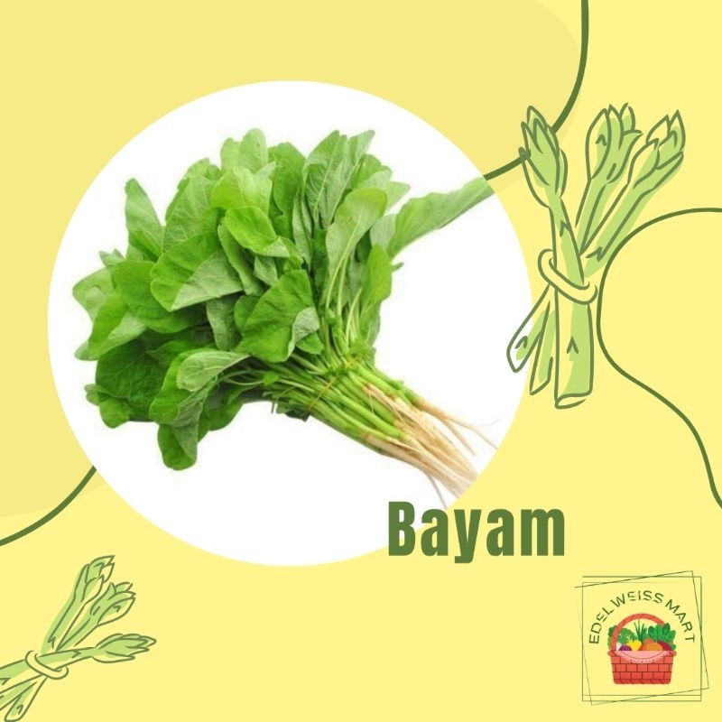 

SAYUR BAYAM 1 IKAT (FRESH) - INSTANT SEMARANG