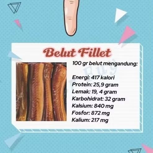 

Belut segar Belut Fillet Belut mpasi makanan bayi makanan mpasi