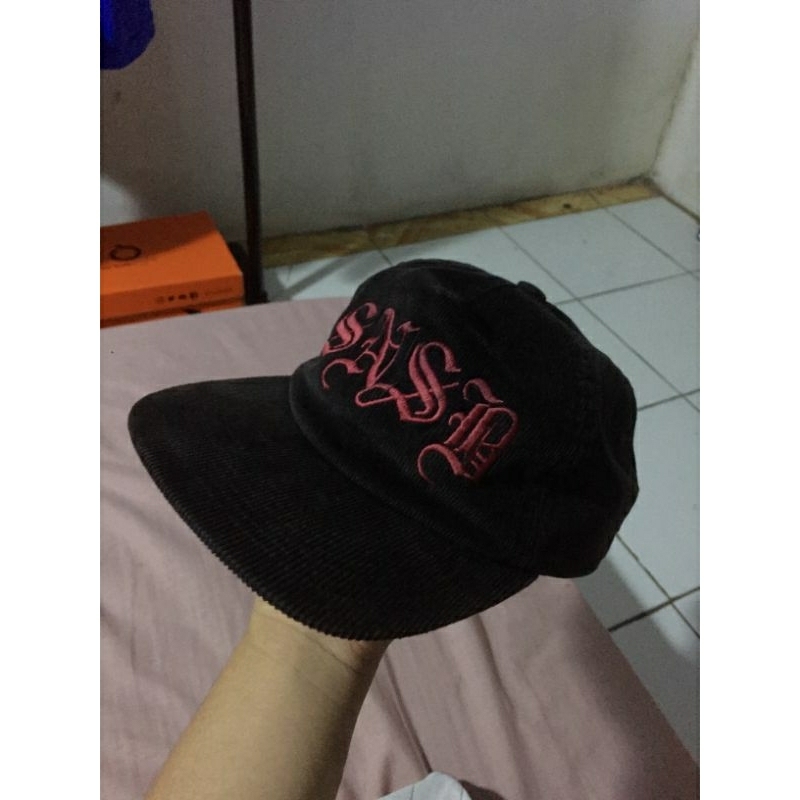 TOPI SNSB