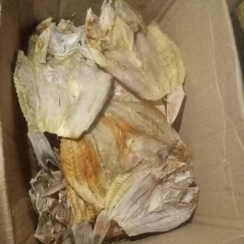 

Ikan Sunu'
