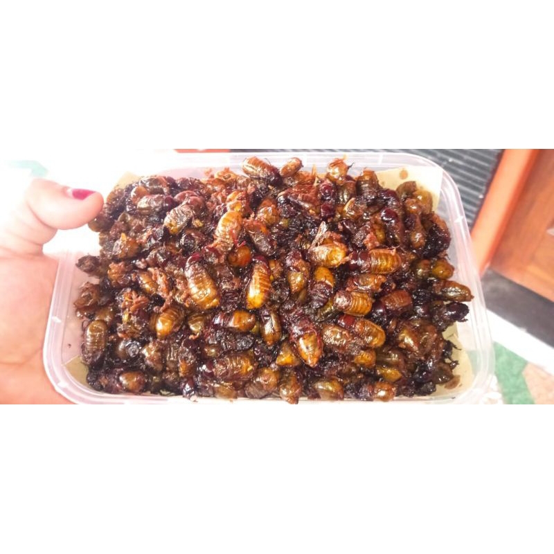 

puthul bacem manis kemasan thinwall 500ml