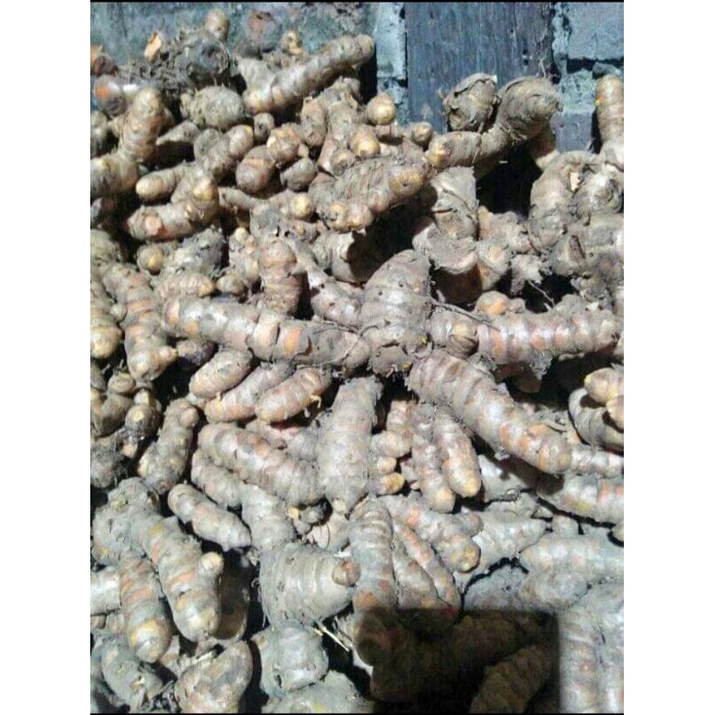 

Kunyit Abras Kunir Abras 1 kg