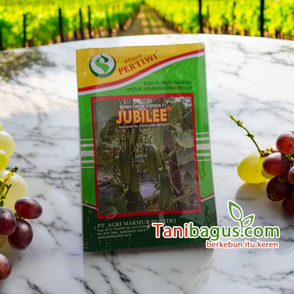 BENIH TIMUN HIBRIDA F1 JUBILEE - 25 GRAM (CAP PERTIWI)
