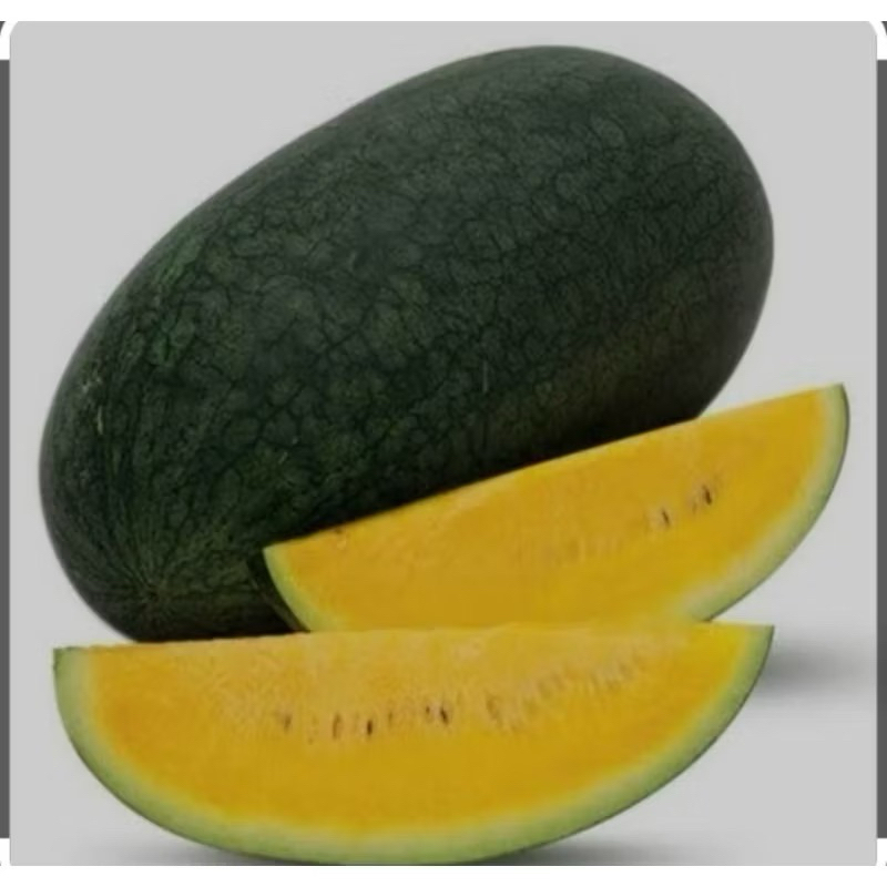 

SEMANGKA KUNING MANIS SATU GLONDONG