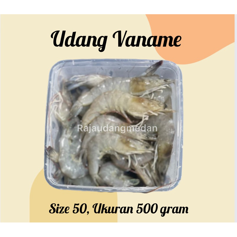 

UDANG VANAME FRESH MEDIUM SIZE 500 GRAM / UDANG TAMBAK FRESH / EBI FURAI TEPUNG/ FROZEN FOOD UDANG