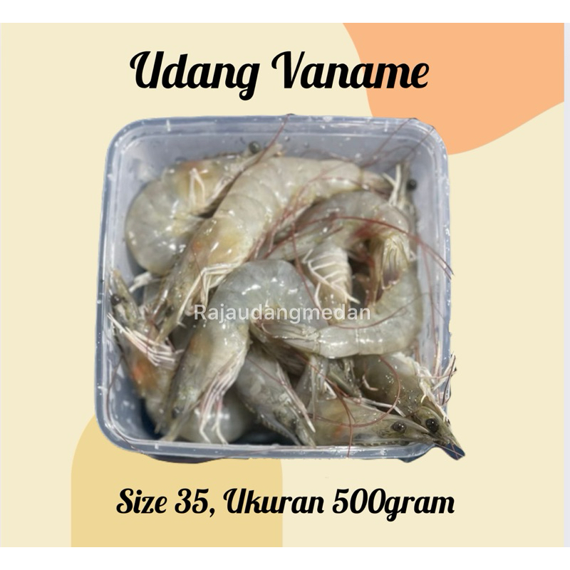 

UDANG VANAME FRESH LARGE SIZE 500 GRAM / UDANG TAMBAK FRESH / EBI FURAI TEPUNG/ FROZEN FOOD UDANG