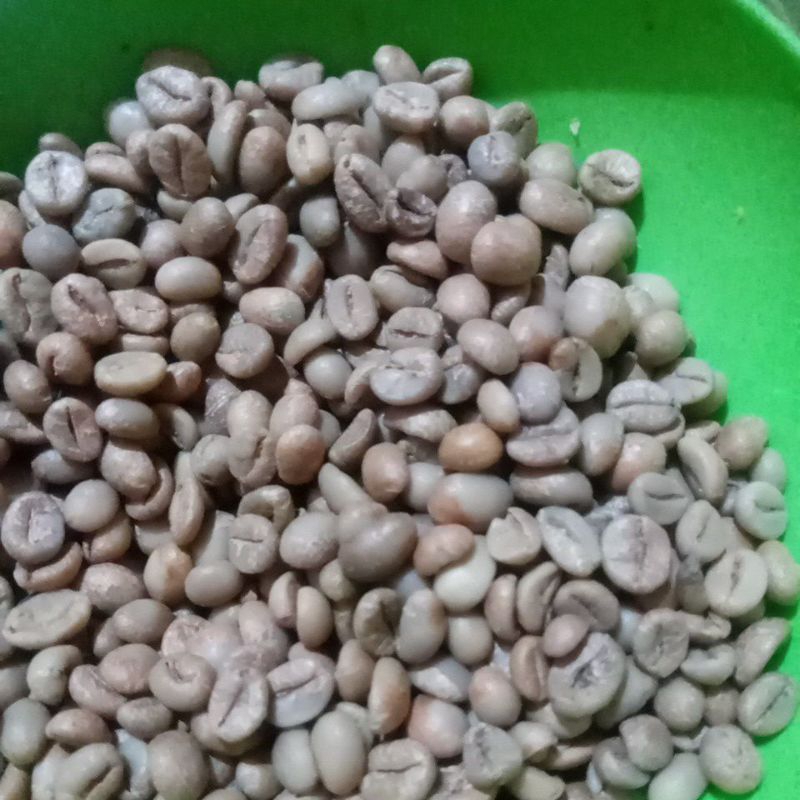 

robusta dampit