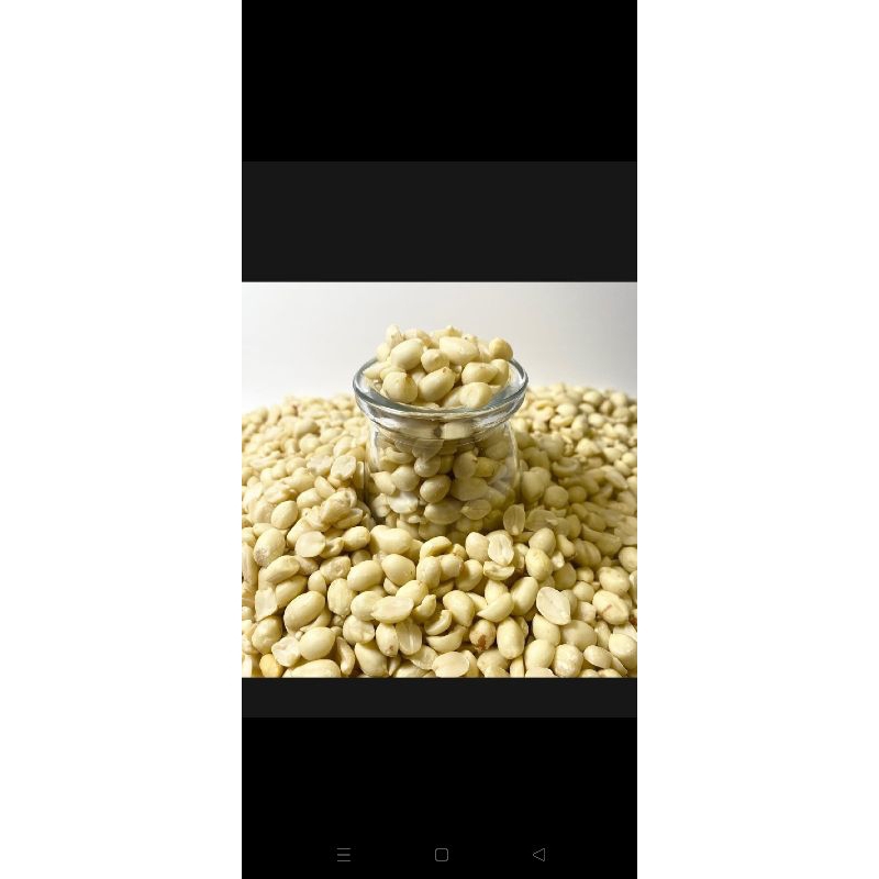 

KACANG TUBAN