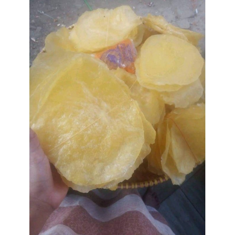 

kecimprinhsingkonggurih