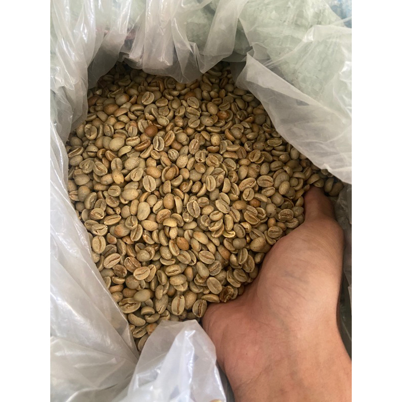 

BIJI KOPI ARABICA 1KG GRADE 1 SPECIALTY