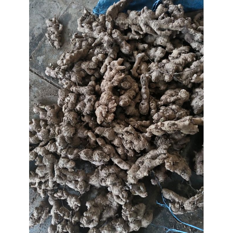 

jehe emprit super ful tua 1kg