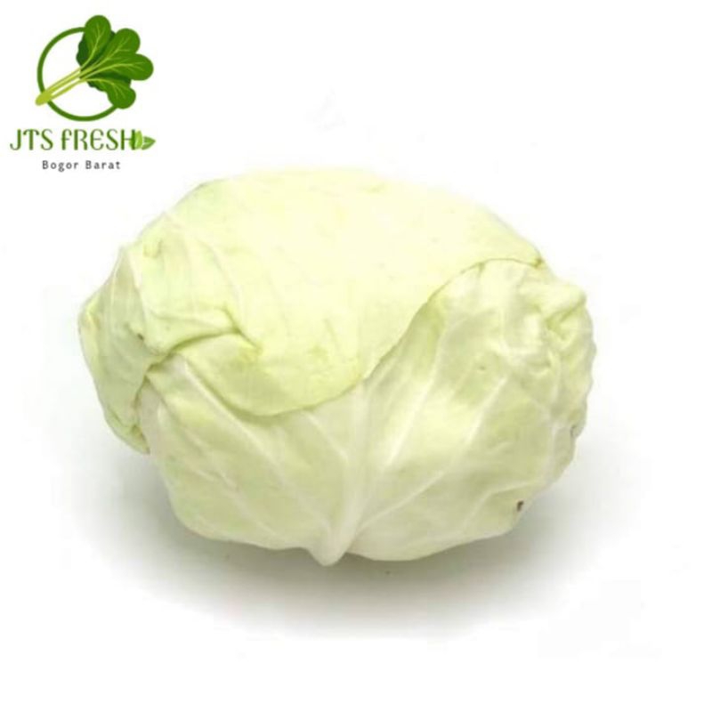 

Kol putih Fresh 250 gram