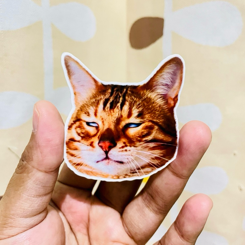 

Sticker CAT ROLLING EYES MEME | Stiker Kucing | Sticker Aesthetic | Stiker Laptop | Stiker Koper | Stiker Helm