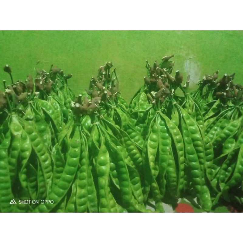 

Pete Fresh Super I Peck Isi 10 papan atau 10 Lonjor