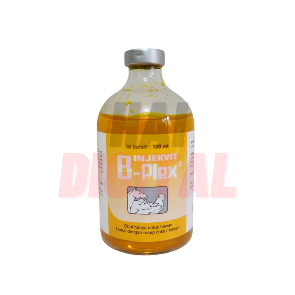 Vitamin Injeksi B-Plex B Komplex Kompleks Suntik Hewan Kelinci Sapi Kambing Unggas Ayam By Medion