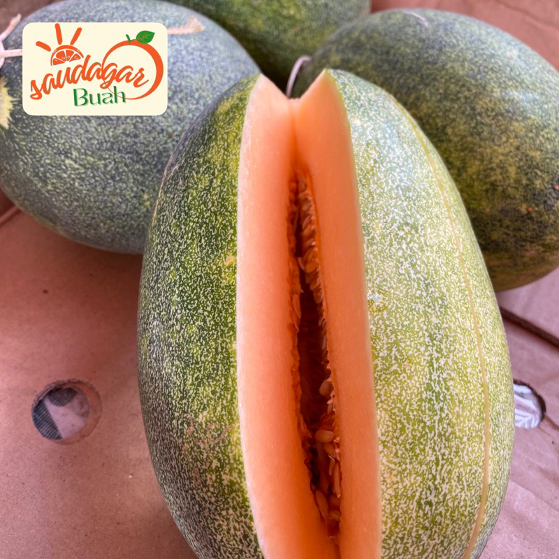 

BUAH MELON HIDROPONIK HONEY KIRANI MANIS CRUNCHY