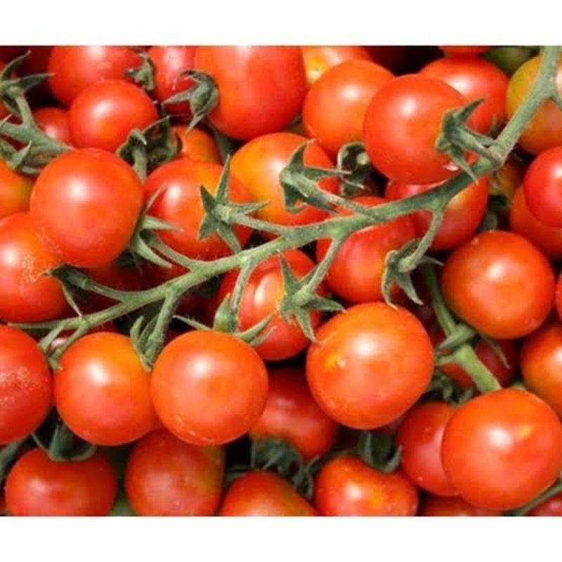 

tomat ceri 250 gr