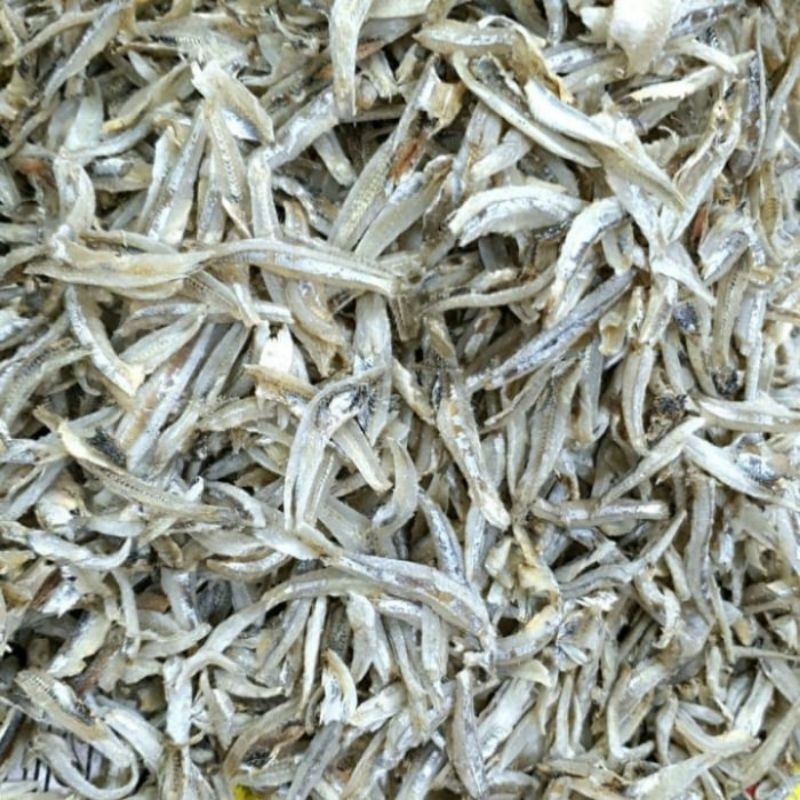 

ikan teri jengki belah