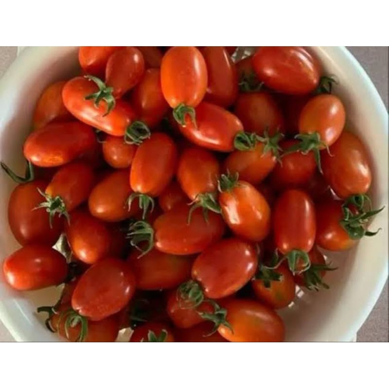 

Tomat Ceri 250 gram