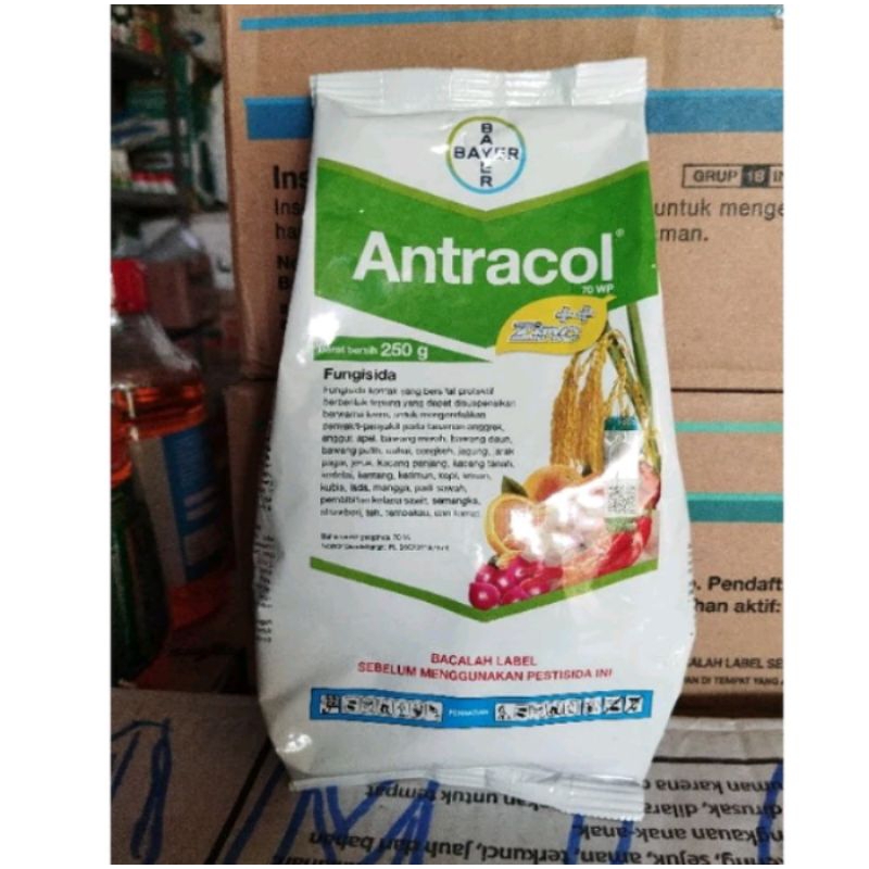 Antracol 250gram