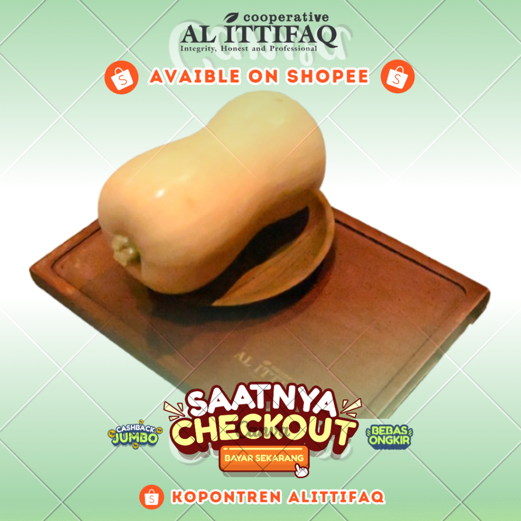 

Butternut Pumpkin Segar -+ 500g-1kg Termurah Berkualitas Terbaik Kopontren Al Ittifaq Bandung