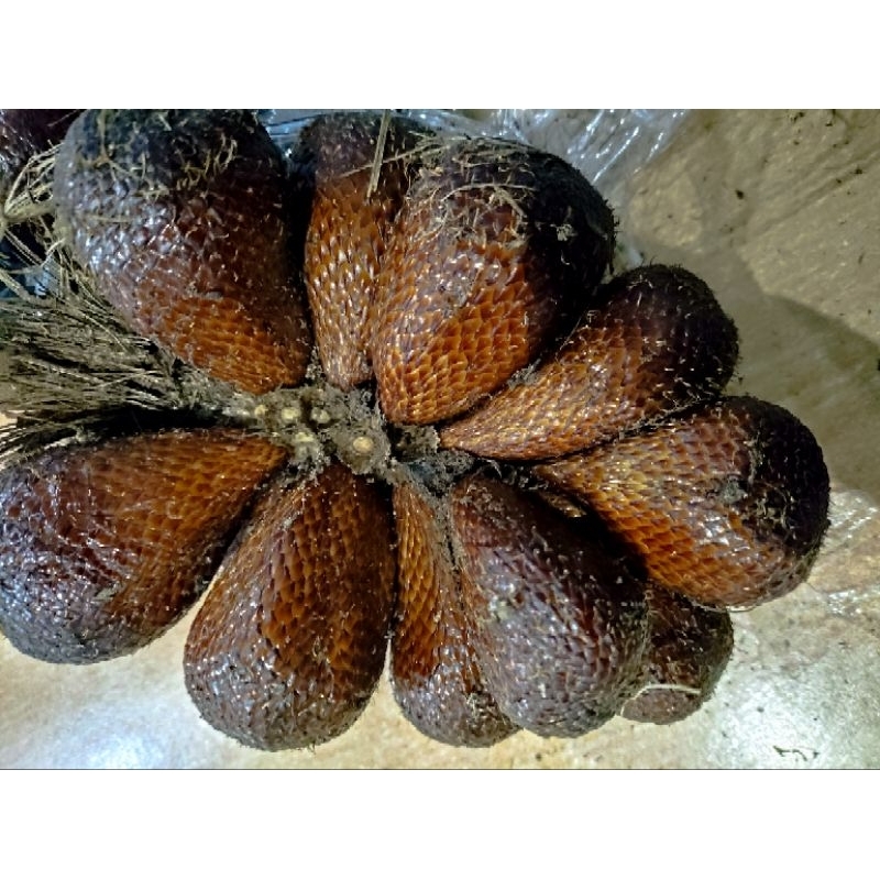 

Salak Segar