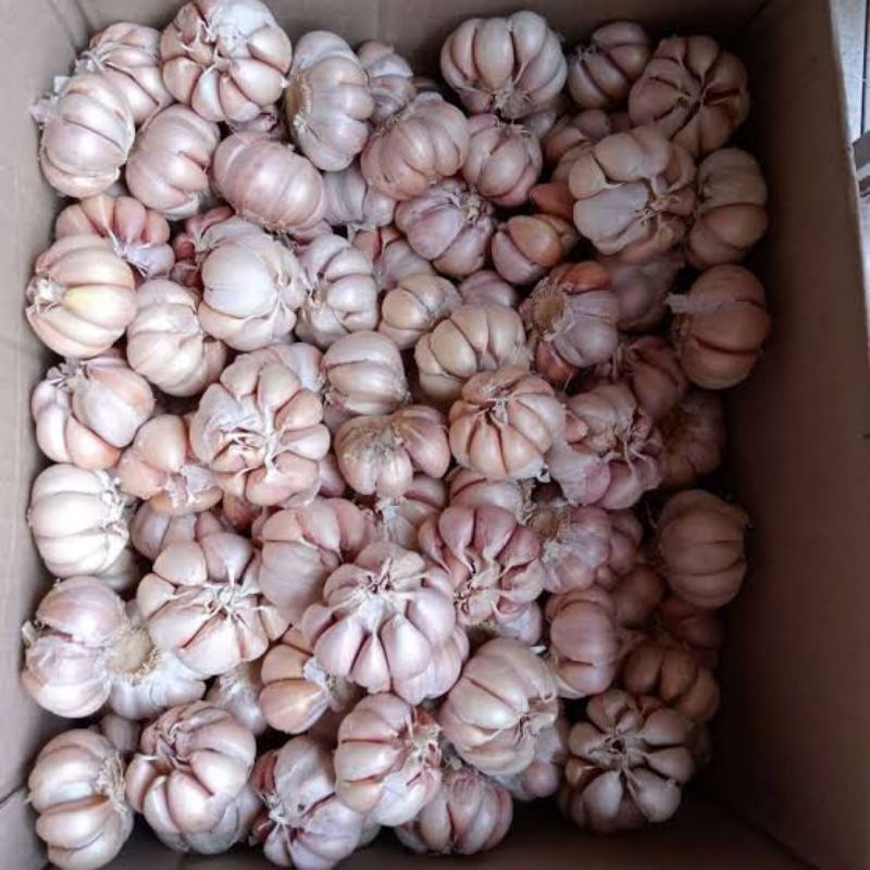 

BAWANG PUTIH 1 KG