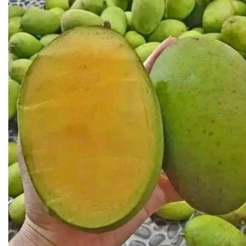 

mangga kueni 1 kg