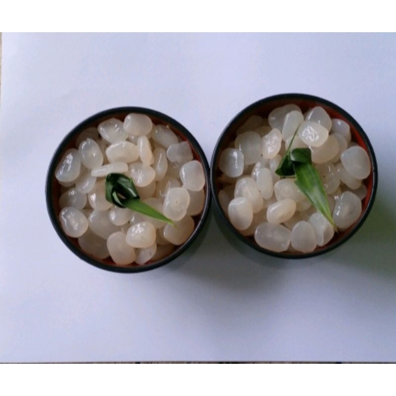 

kolang kaling segar/caruluk segar 1kg