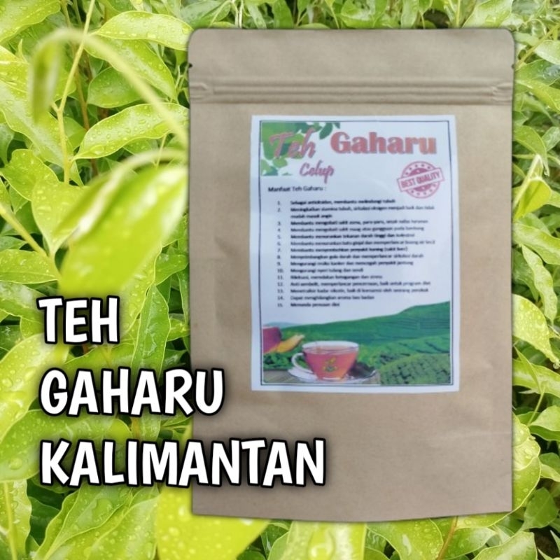 

Teh Gaharu malaccensis kalimantan untuk kesehatan