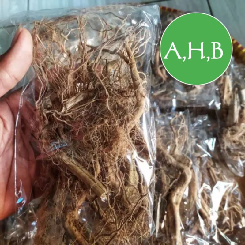 

Akar Ciplukan Kering Isi 50 Gram / 100 Gram