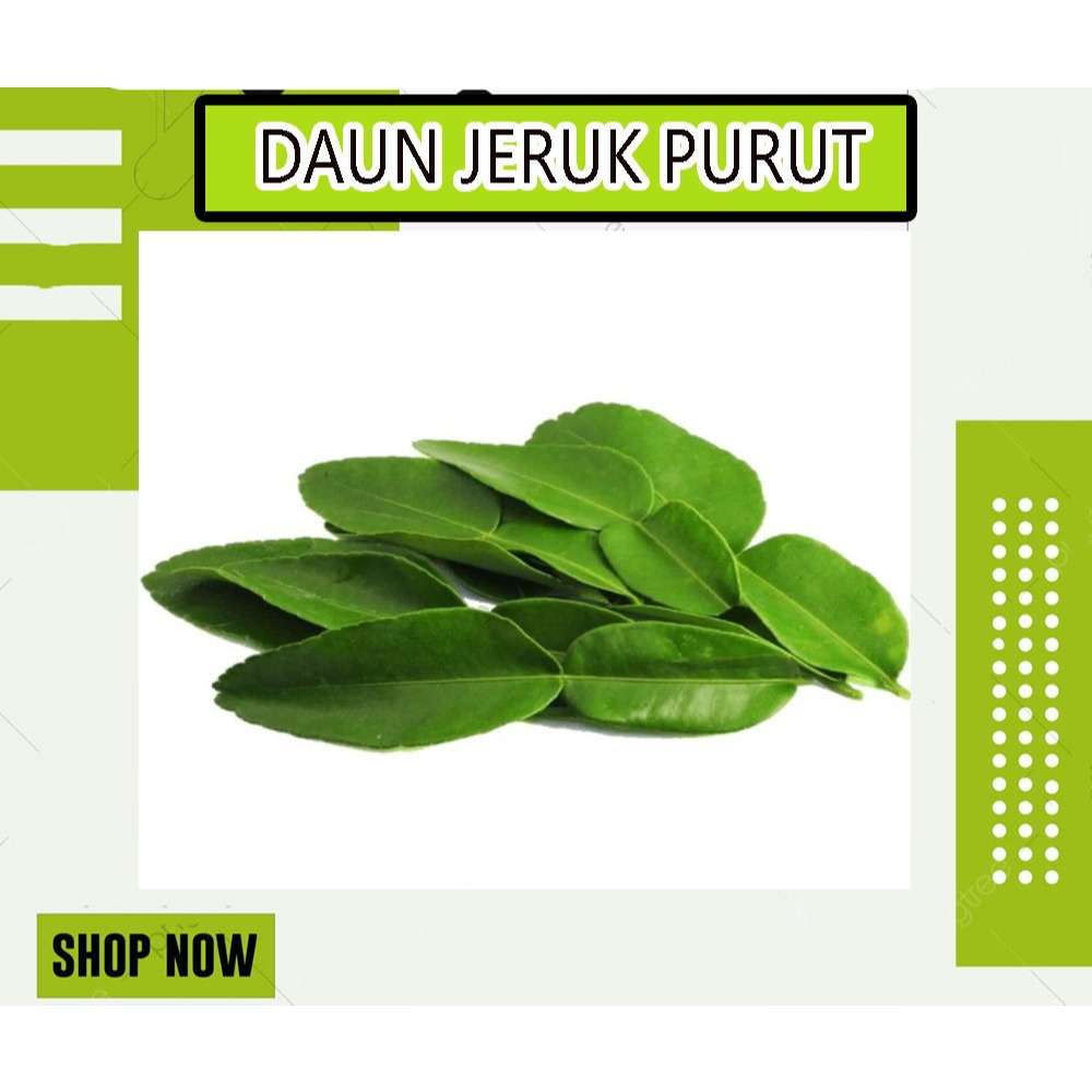 

DAUN JERUK PURUT BASAH SEGAR FRESH PER PACK TERMURAH DAN ANTI OKSIDAN