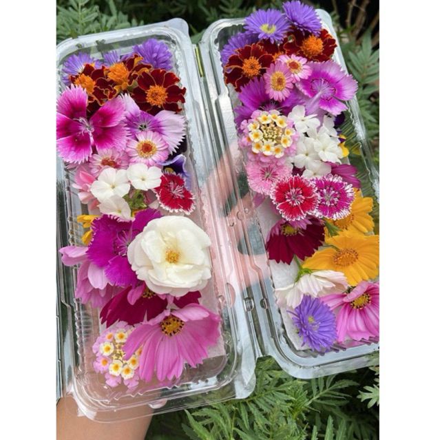 

edible flower