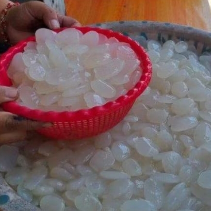

KOLANGKALING Super 1 KG Buah Kolang kaling Buah Caruluk
