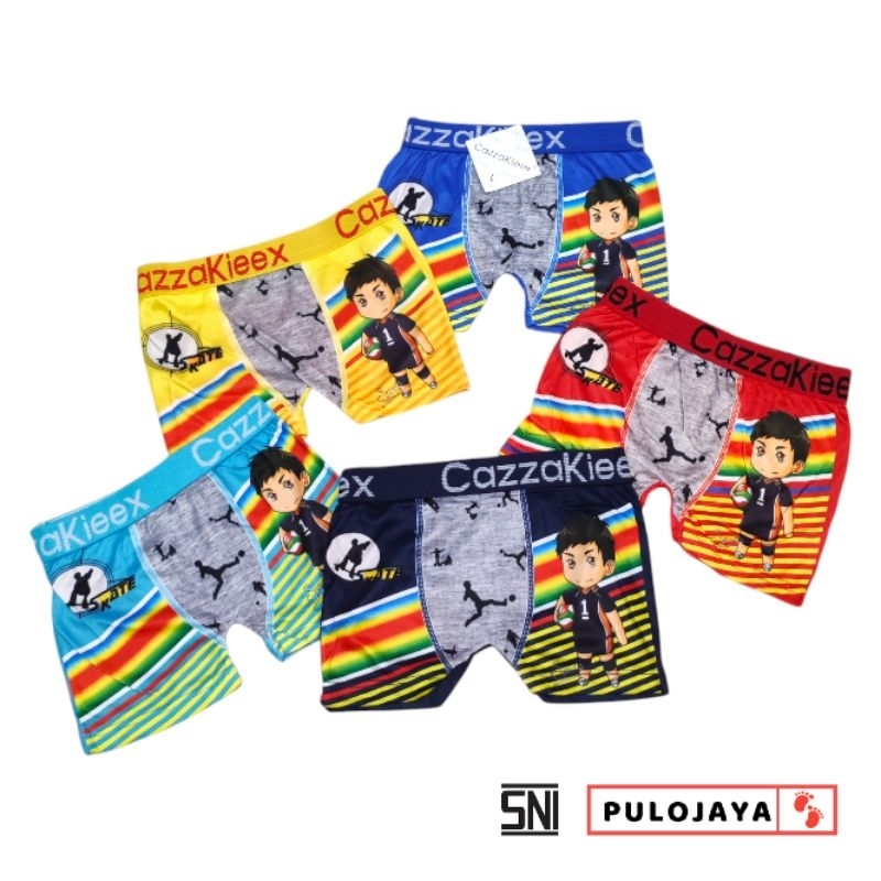 6 Pcs CD Celana Dalam Anak Laki laki Boxer 1 Tahun - 2 Tahun Lusinan