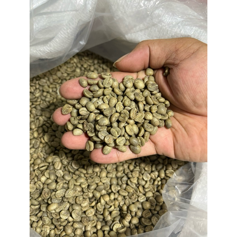 

Greenbeans Arabica Kintamani Fullwash Grade 1