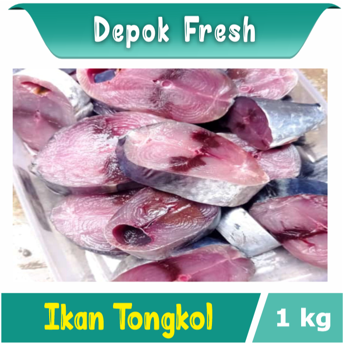

IKAN TONGKOL POTONG TANPA KEPALA SEGAR SEAFOOD BERKUALITAS