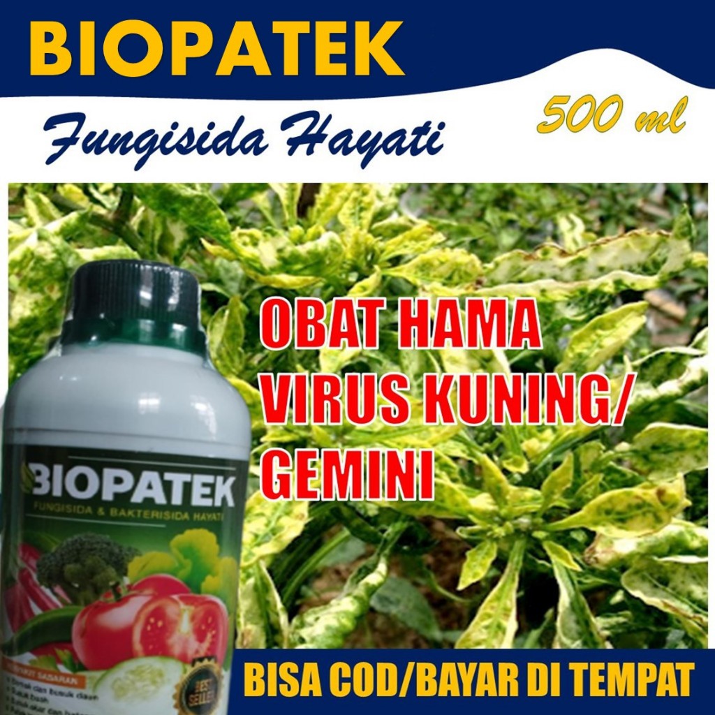 BIOPATEK Fungisida Hayati Obat Semprot Virus Kuning Gemini Cabe, Obat Virus Kuning Cabe dan Layu Fus
