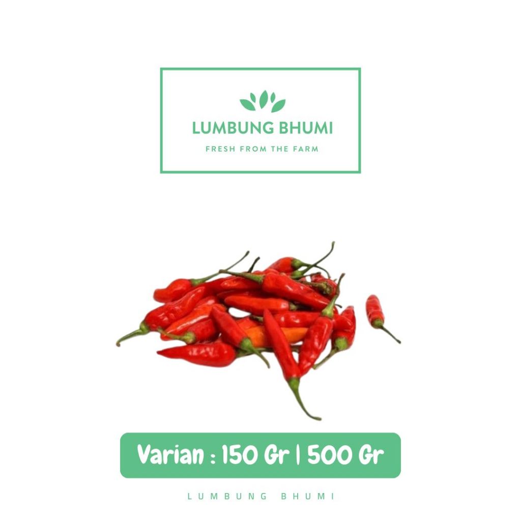 

Cabe Rawit Merah SORTIR Sayur - Lumbung Bhumi