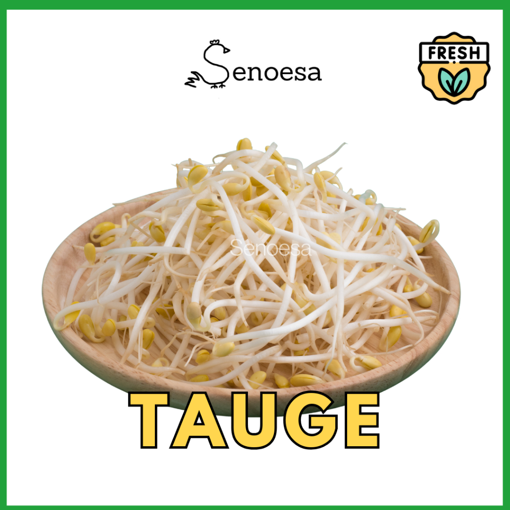 

(FRESH INSTAN) Tauge / Toge 1 Pack