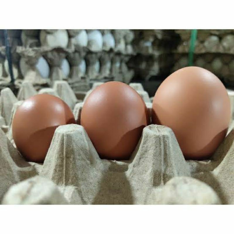 

Telur Ayam Super (1 kg) ukuran kecil/ small size