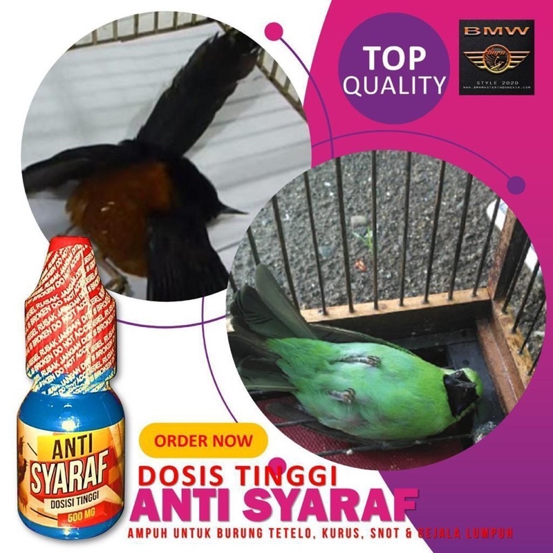 Anti Saraf By Penggacor Seketika Obat Burung Sakit Tetelo Gangguan Syaraf Stress Untuk Burung Lovebi