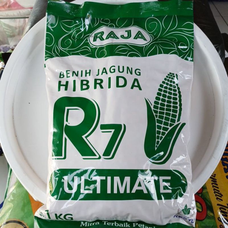 Benih jagung hibrida R7 Ultimate 1Kg exp 2025