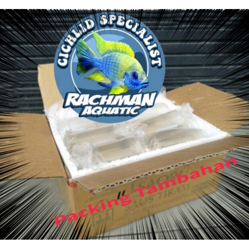

Styrofoam Box Packing Tambahan (Pengiriman Luar Pulau)