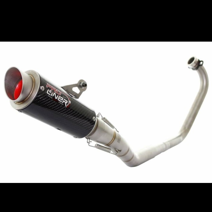 Knalpot Proliner R15 V3 Yamaha R 15 Carbon Short Fullsystem TR1